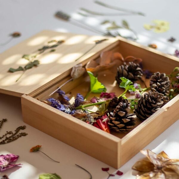 CBD Flower Boxes - Image 2