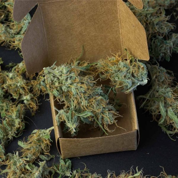 Marijuana Boxes - Image 2