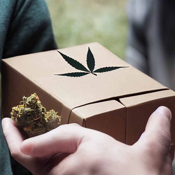 Marijuana Boxes - Image 3