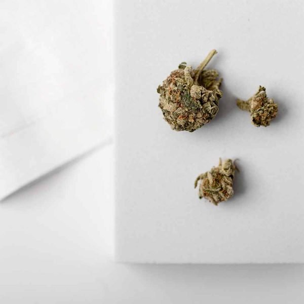 Marijuana Boxes - Image 4