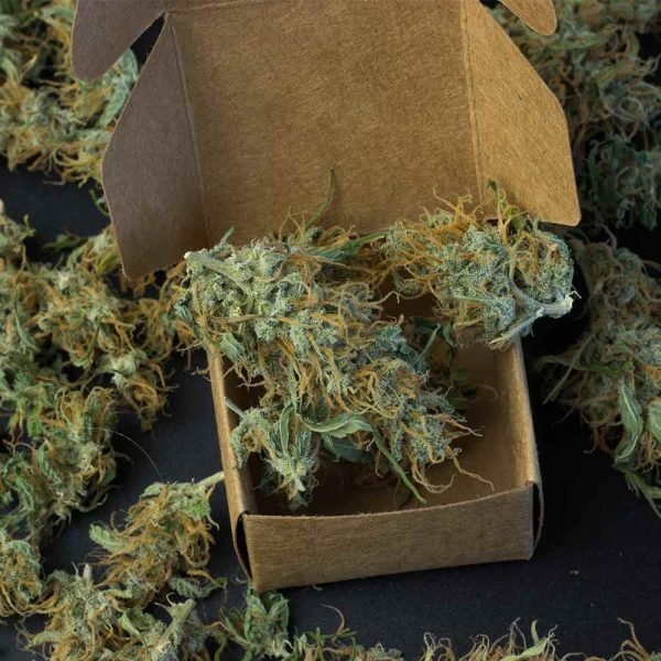 Monthly Weed Boxes - Image 2