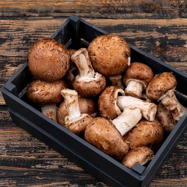 Mushroom Boxes - Image 4