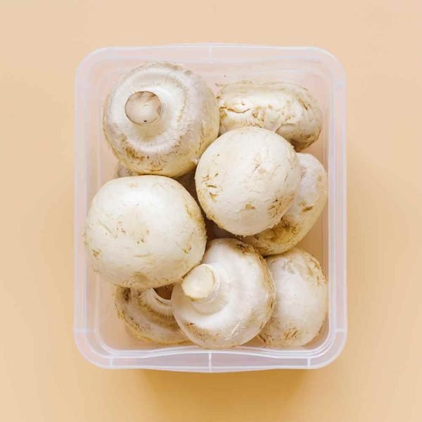 Mushroom Boxes - Image 2