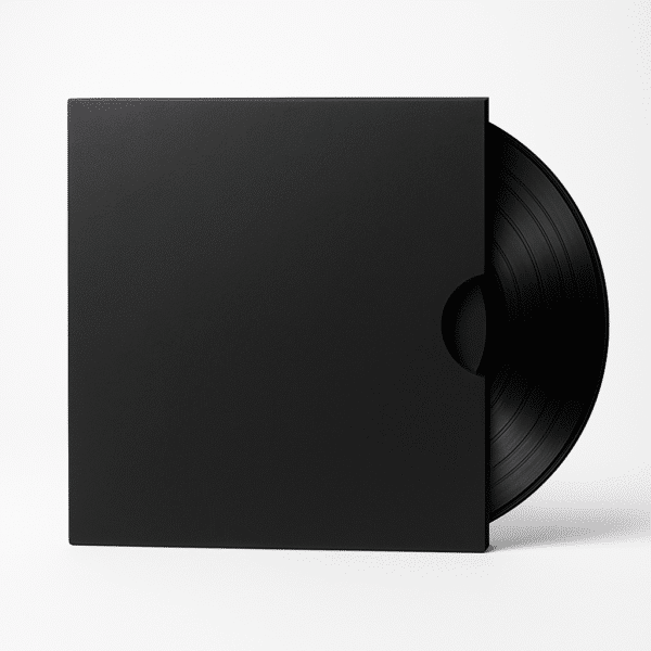 Vinyl Record Mailers - Image 2